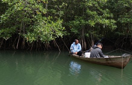 Mangrove forests at Sebung River